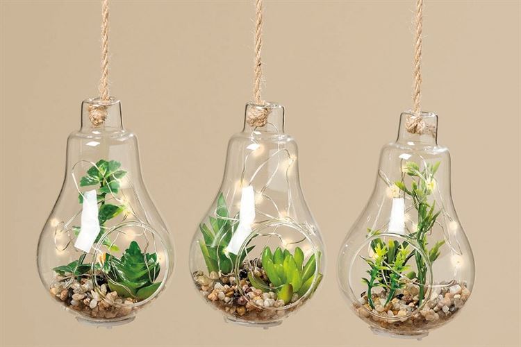 LEDhanger met plant 3 assorti Zus & Zo Oostburg Unieke cadeau's